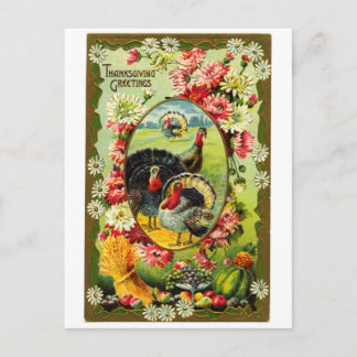Cartão Postal Vintage graças a Turkeys