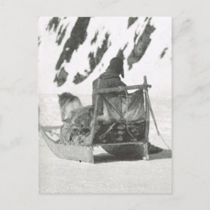Cartão Postal Vintage Groelândia, Viajando de trenó
