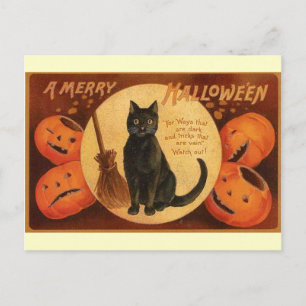 Cartão Postal Vintage Halloween Black Cat