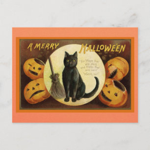 Cartão Postal Vintage Halloween Black Cat Pumpkin Poema Vitorian