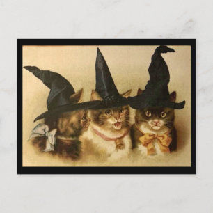 Cartão Postal Vintage Halloween Black Cats