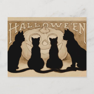 Cartão postal Vintage Halloween Black cats