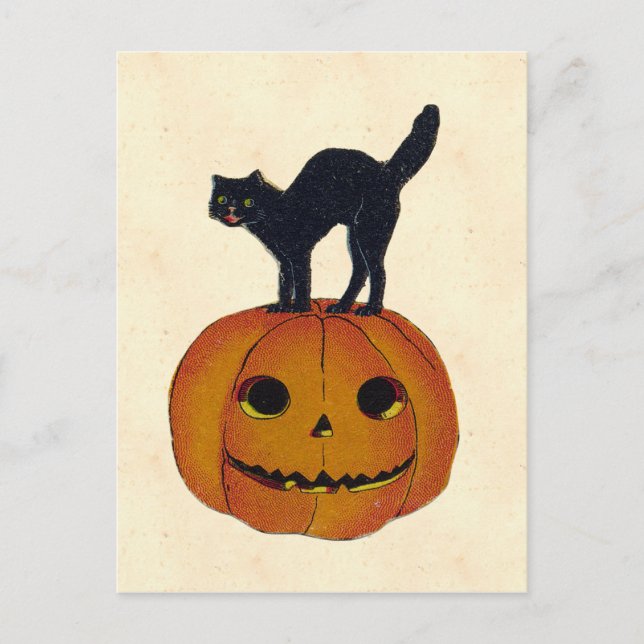 Cartão Postal Vintage Halloween Cat (Frente)