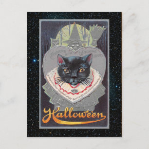 Cartão Postal Vintage Halloween Funnycat