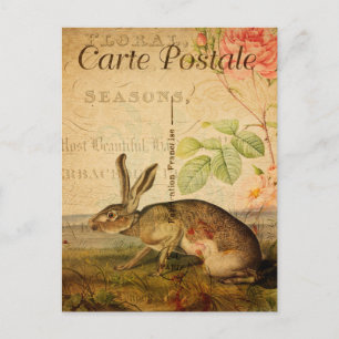 Cartão Postal Vintage Hare Rabbit Floral Flores Francesas