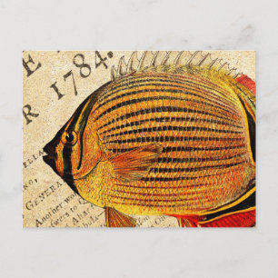 Cartão Postal Vintage Hawaiian Butterfly Fish Personalizado Anti