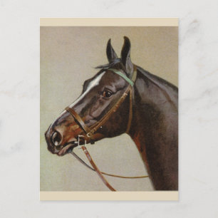 Cartão postal Vintage Horse