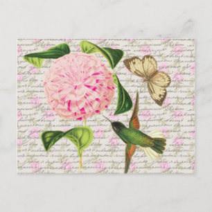 Cartão Postal Vintage Hummingbird Butterfly e Caryophyllus