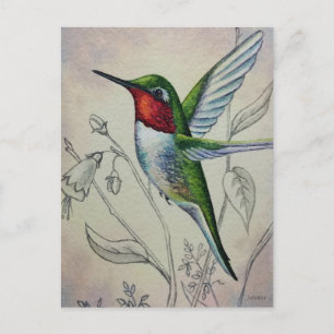 Cartão Postal Vintage Hummingbird No 1 Watercolor Art