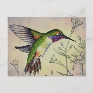 Cartão Postal Vintage Hummingbird No. 2 Watercolor Art