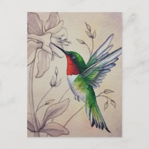 Cartão Postal Vintage Hummingbird No. 6 Watercolor Art