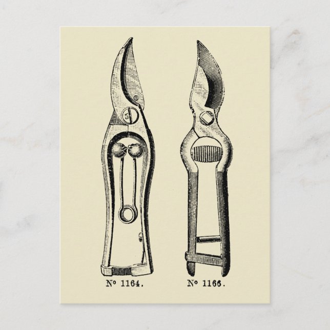Cartão Postal VINTAGE ILLUSTRATION Gardenol Tool Pruners P (Frente)