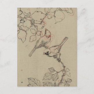 Cartão Postal Vintage - Imagem de Aves Japonesas