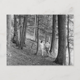 Cartão Postal Vintage Imp Lake Hiking Trail, Península Superior