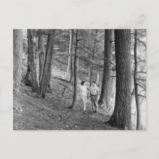 Cartão Postal Vintage Imp Lake Hiking Trail, Península Superior