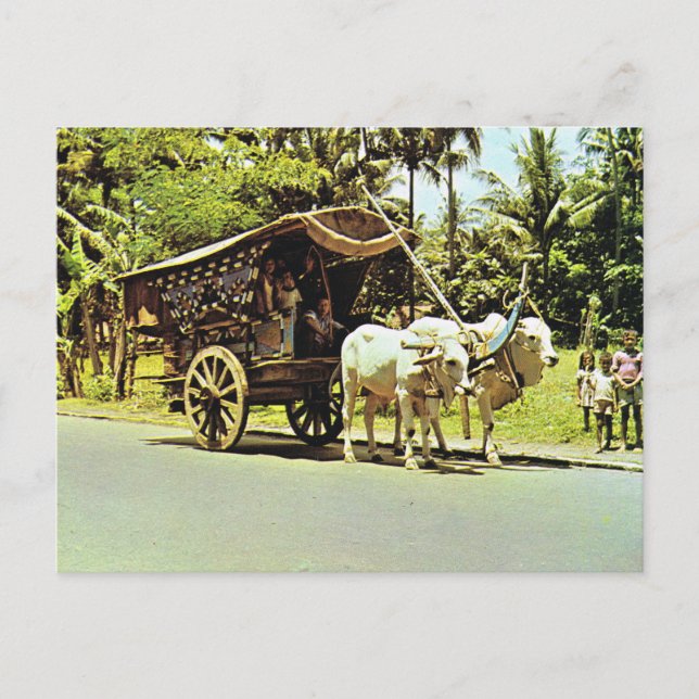 Cartão Postal Vintage Indonesia, Gerobag, Java central (Frente)