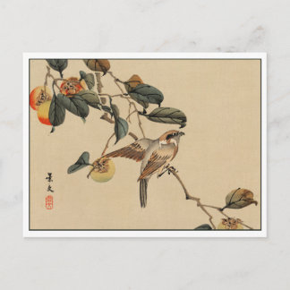 Cartão Postal Vintage Japonês Art Bird in Tree