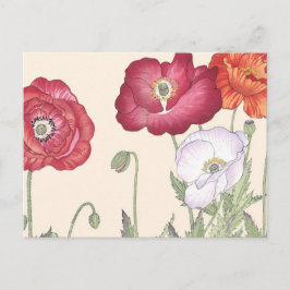 Cartão Postal Vintage Japonês Art Poppy Flowers