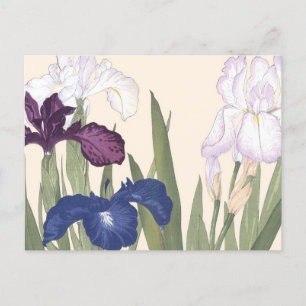 Cartão Postal Vintage Japonês Floral Art Purple Iris Flowers