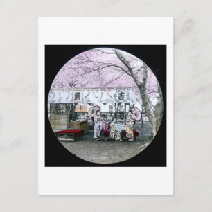 Cartão Postal Vintage Japonês Geisha Sentado Sob Blossomas De Ce