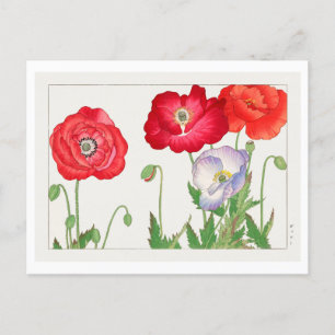 Cartão Postal Vintage Japonês Poppy Woodblock Impressão
