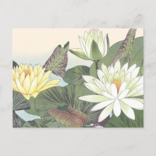 Cartão Postal Vintage Japonês Woodblock White Lotus Flower