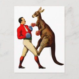 Cartão Postal Vintage Kangaroo Boxer Sport