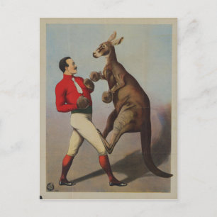 Cartão Postal Vintage Kangaroo Boxing Sideshow