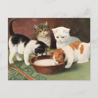 Cartão Postal Vintage Katzen und Milch