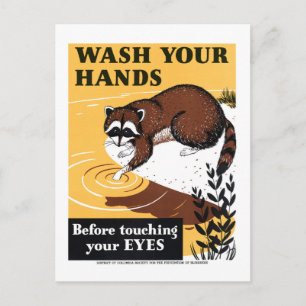 Cartão Postal Vintage Lave suas mãos Poster de raccoon