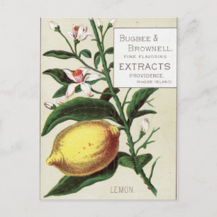 Cartão Postal Vintage Lemon