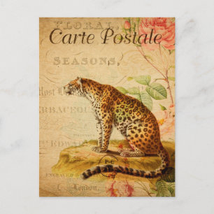 Cartão Postal Vintage Leopard Jaguar Wild Animal Floral French