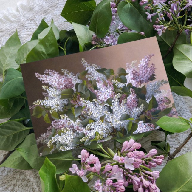 Cartão Postal Vintage Lilacs (Criador carregado)