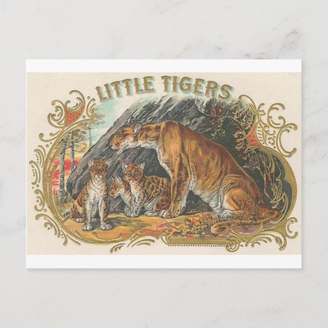 Cartão Postal Vintage Little Tigers (Frente)