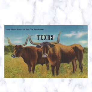 Cartão Postal Vintage Long Horn Steers San Antonio Texas