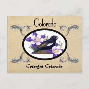 Cartão Postal Vintage Look Old Postcard Colorado