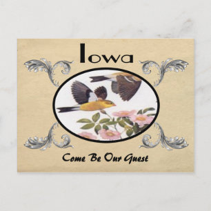 Cartão Postal Vintage Look Old Postcard Estado de Iowa
