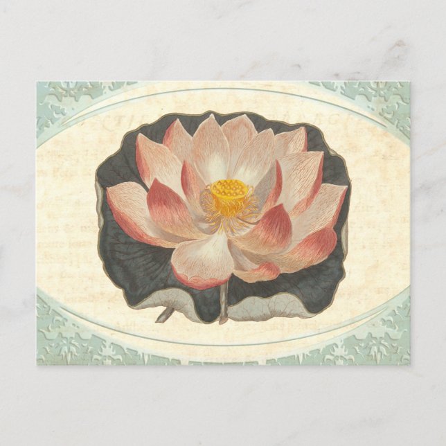 Cartão Postal Vintage Lotus Damask Elegante Antiquado Botânico (Frente)