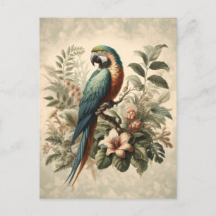 Cartão Postal Vintage Macaw Botanical Painting