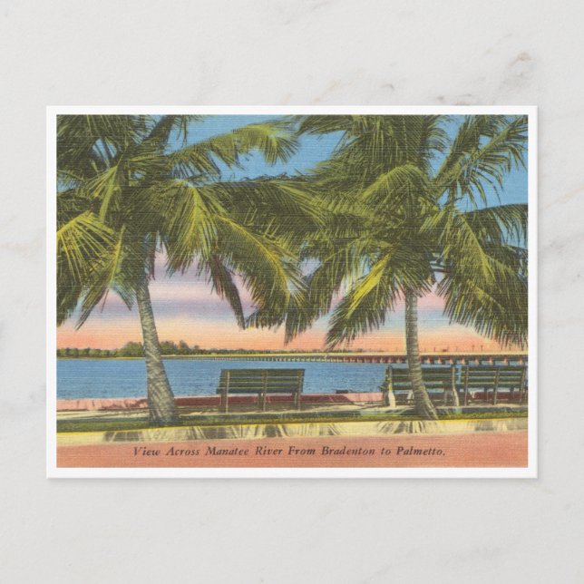 Cartão Postal Vintage Manatee River Bradenton Florida (Frente)
