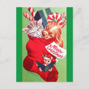 Cartão Postal Vintage Meio século Belo Bebê Cachorro