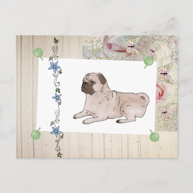 Cartão Postal vintage Mops (Frente)