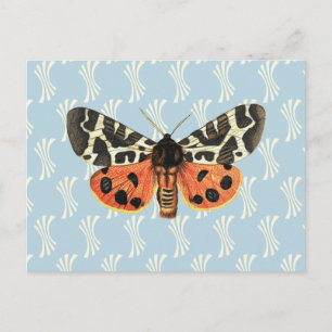 Cartão Postal Vintage Moth Illustration Pop Art