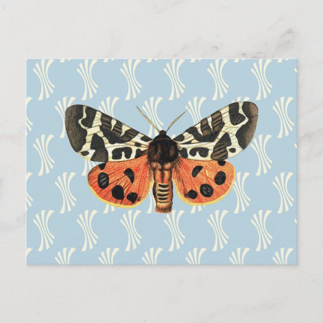Cartão Postal Vintage Moth Illustration Pop Art (Frente)