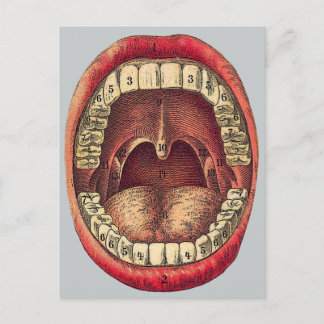 Cartão Postal Vintage Mouth