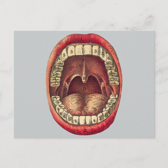 Cartão Postal Vintage Mouth (Frente)