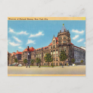 Cartão Postal Vintage, Museu de História Natural, Nova York