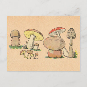 Cartão Postal Vintage Mushroom Impressão