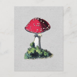 Cartão Postal Vintage Mushroom Impressão
