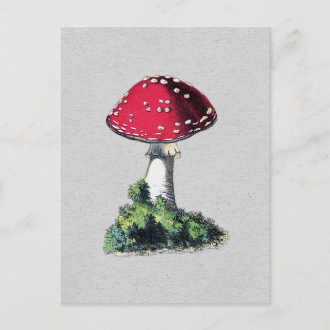 Cartão Postal Vintage Mushroom Impressão (Frente)
